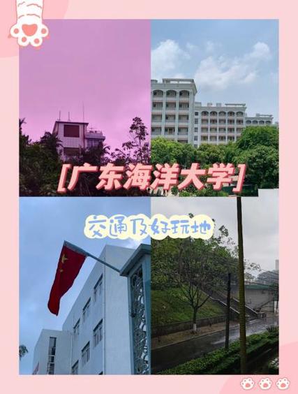 深圳疫情学生，深圳疫情学生放假