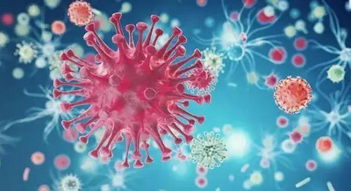 疫情爆发革命，疫情爆发革命的原因？-第4张图片-优品飞百科