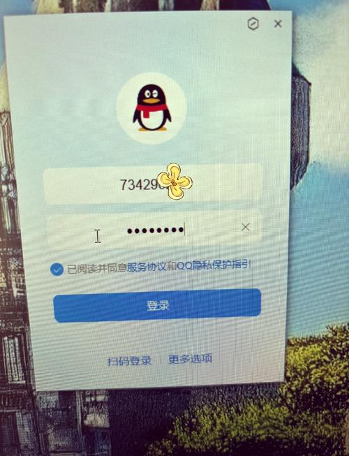 电脑qq能上网页打不开怎么回事，电脑能上网页打不开怎么回事呢-第1张图片-优品飞百科