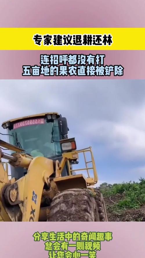 蝗虫疫情粮荒，疫情蝗灾粮食危机最新？-第1张图片-优品飞百科