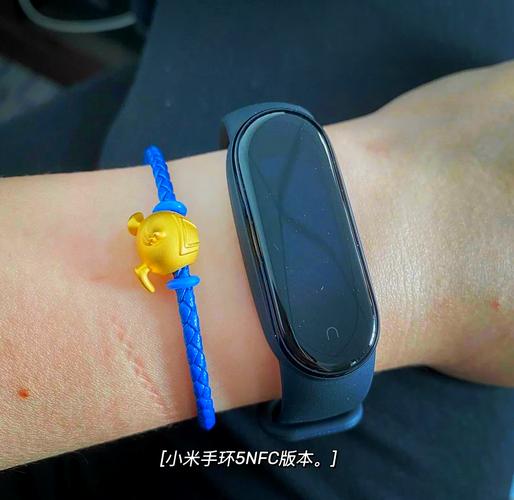 小米5手环nfc和普通区别，小米手环5与nfc-第3张图片-优品飞百科