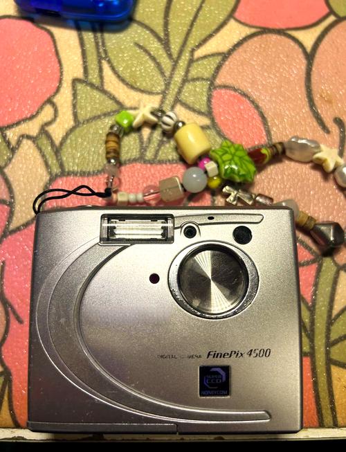 finepix相机怎么充电？finepix相机充电器？-第5张图片-优品飞百科