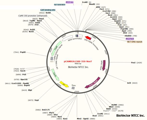 佳能打印机1300故障？佳能打印机1300故障怎么解决？-第2张图片-优品飞百科