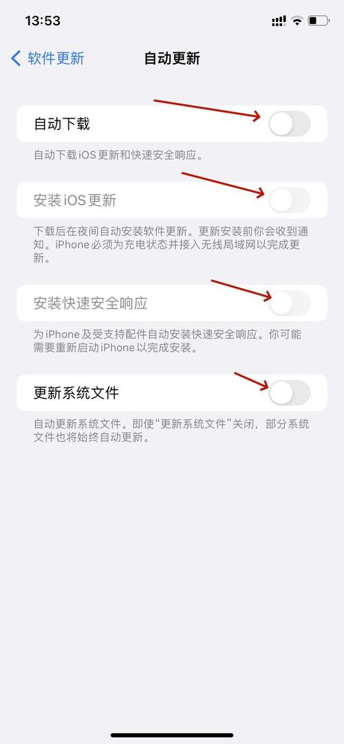 iphone5s如何升级到ios14系统？苹果5s如何升级ios14？-第5张图片-优品飞百科