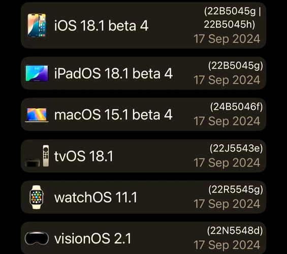 旧版ipad如何更新ios14，如何给旧版本的ipad更新软件？-第6张图片-优品飞百科