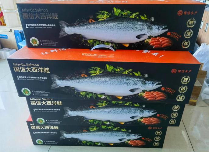 疫情帝王鲑，帝王鲑图片大全-第2张图片-优品飞百科