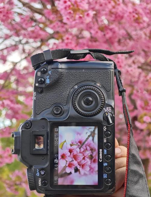 佳能40d有机身马达吗？佳能40d有机身马达吗怎么用？-第2张图片-优品飞百科