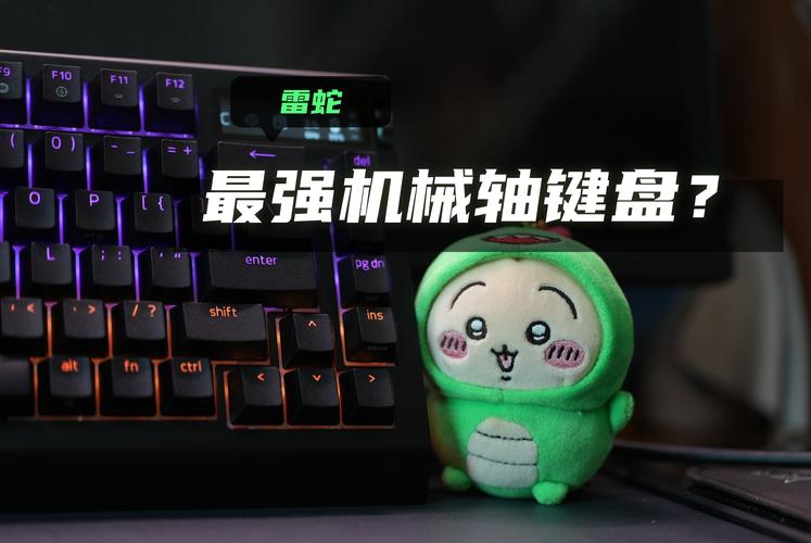 雷蛇为什么叫雷蛇？雷蛇为什么那么贵？-第7张图片-优品飞百科