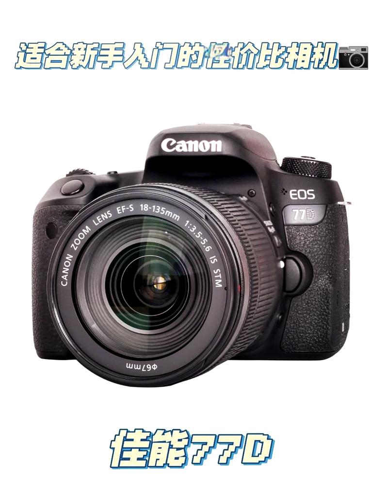 佳能800d二手费用？二手佳能800定焦镜头费用?？-第4张图片-优品飞百科