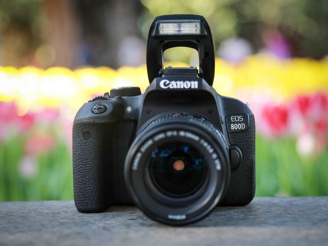 佳能800d二手费用？二手佳能800定焦镜头费用?？-第5张图片-优品飞百科