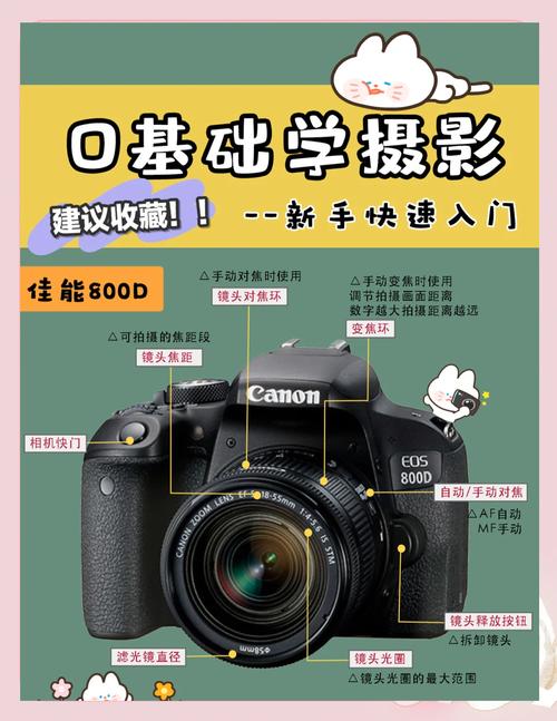 佳能800d二手费用？二手佳能800定焦镜头费用?？-第7张图片-优品飞百科
