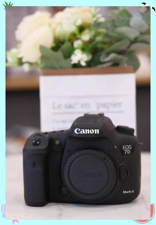 佳能7d2高感不好？佳能7d2高感多少可用？-第1张图片-优品飞百科