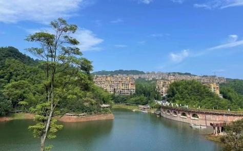 贵州疫情况？贵州役情情况？-第5张图片-优品飞百科