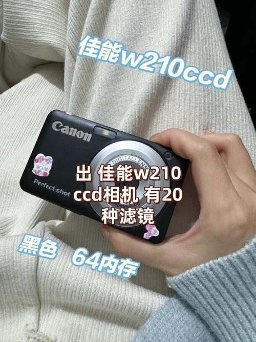 佳能ccd相机怎么用，佳能ccd相机怎么用闪光灯-第5张图片-优品飞百科