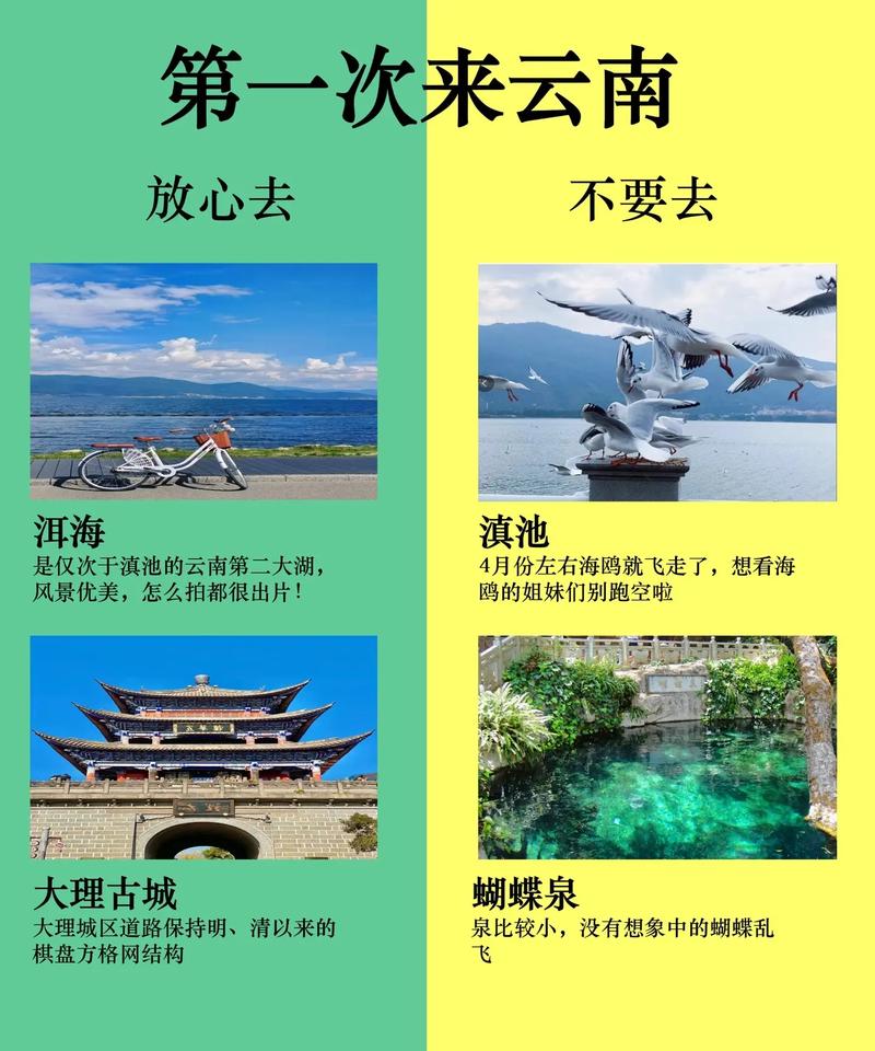 疫情严重禁区，疫情禁行公告?-第6张图片-优品飞百科