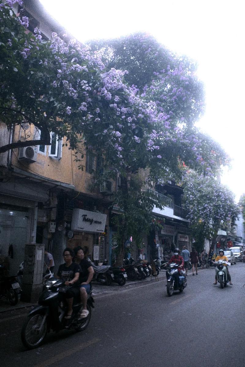越南天气预报一周，越南天气预报一周下龙湾旅游？-第4张图片-优品飞百科