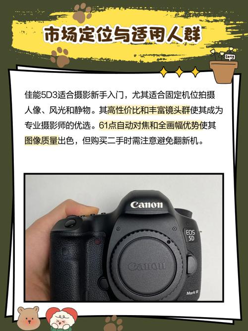 佳能5d3自动档？佳能相机5d3档位功能介绍？-第4张图片-优品飞百科