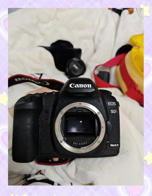 佳能5d2和6d哪个好录像好，佳能5d2好还是6d？-第3张图片-优品飞百科