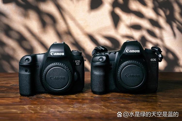 佳能5d2和6d哪个好录像好，佳能5d2好还是6d？-第5张图片-优品飞百科