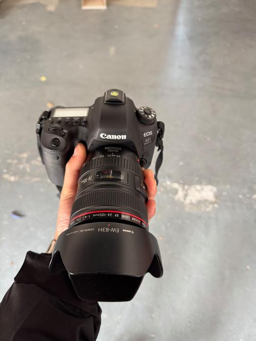 佳能5d2和6d哪个好录像好，佳能5d2好还是6d？-第8张图片-优品飞百科