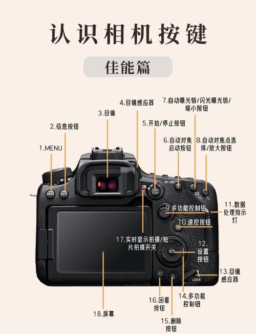 佳能相机的功能设置在哪里，佳能照相机功能？-第4张图片-优品飞百科