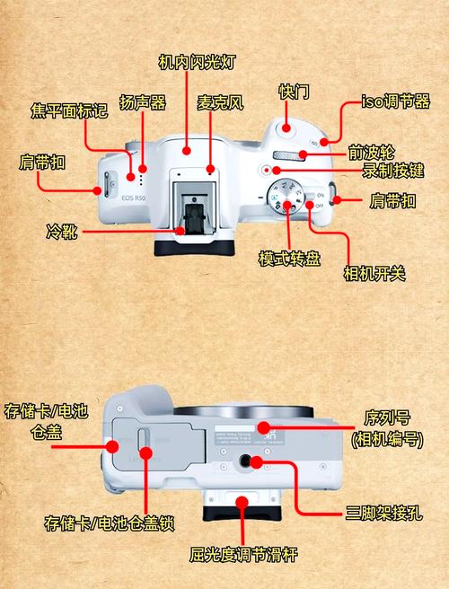 佳能相机的功能设置在哪里，佳能照相机功能？-第5张图片-优品飞百科