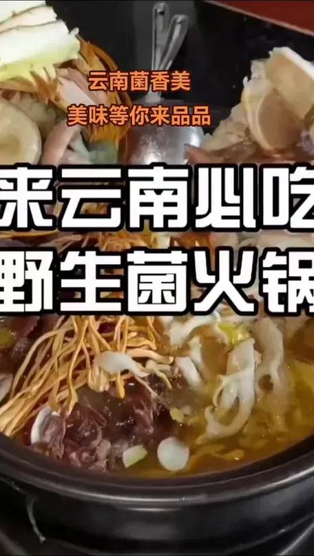 野生菌疫情，野生菌政策-第2张图片-优品飞百科