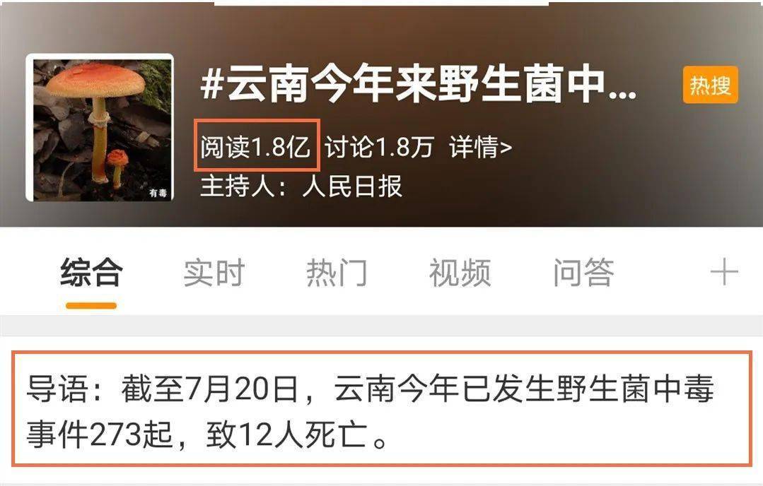 野生菌疫情，野生菌政策-第4张图片-优品飞百科