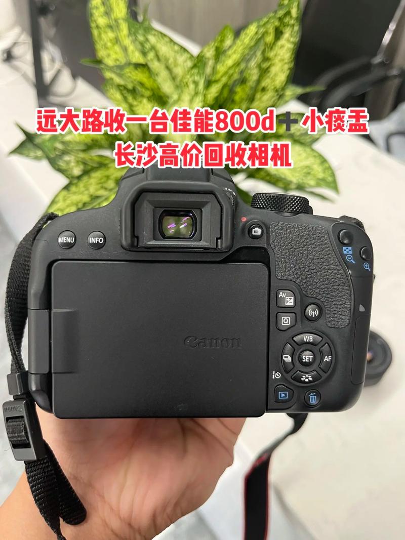 佳能800d是微单吗？佳能800d单反怎么样？-第6张图片-优品飞百科