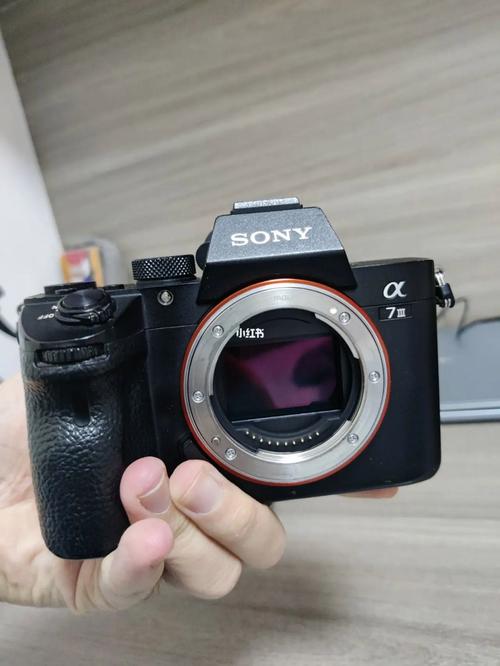 a7是什么相机，相机 a7-第1张图片-优品飞百科