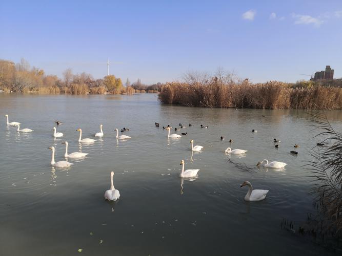 博乐网站疫情，博乐疫情防控通知？-第2张图片-优品飞百科