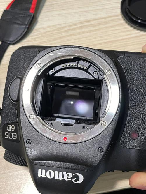 单反相机值得入手吗，单反值得买吗 知乎-第3张图片-优品飞百科