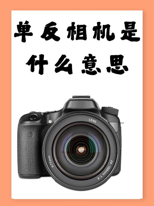 单反相机值得入手吗，单反值得买吗 知乎-第4张图片-优品飞百科