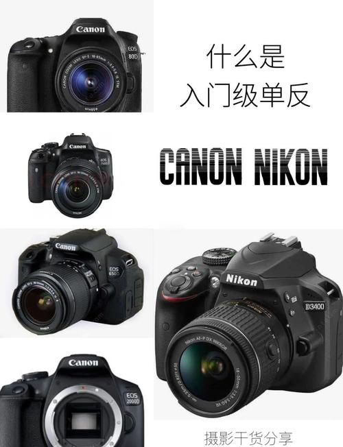 单反相机值得入手吗，单反值得买吗 知乎-第5张图片-优品飞百科