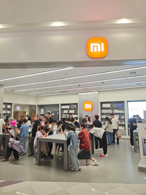 小米和小米有品是什么关系，小米有品与小米的关系？-第3张图片-优品飞百科