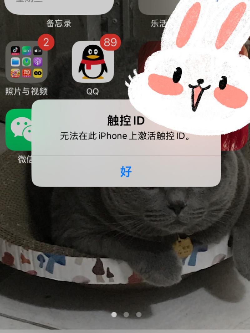 iphone为什么激活不了？为什么苹果手机iphone激活不成功？-第3张图片-优品飞百科