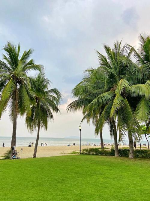 热带海南疫情，海南热带海洋学院疫情？-第2张图片-优品飞百科