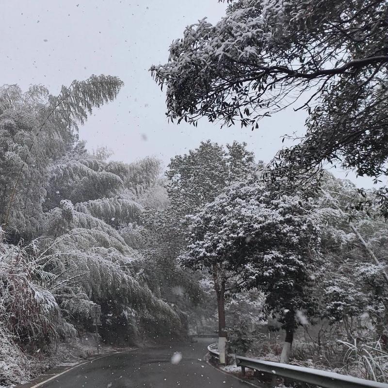 浙江湖州天气预报，浙江湖州天气预报15天准确一览表？-第4张图片-优品飞百科