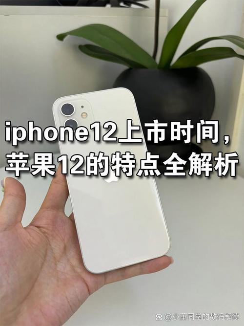iphone12哪年上市时间，iphone12啥时候上市的?-第2张图片-优品飞百科