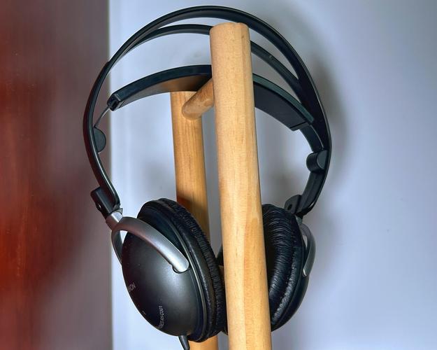 佳能c300内置麦克风？佳能相机麦克风插哪里？-第4张图片-优品飞百科