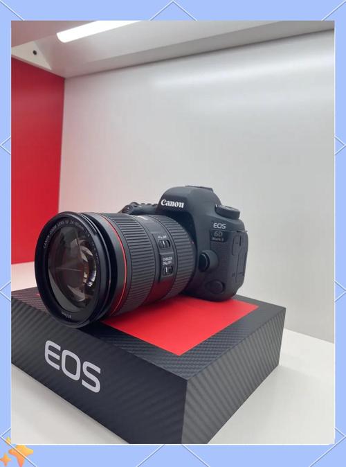 佳能eos6d是全画幅吗？佳能6d2是否全画幅？-第6张图片-优品飞百科