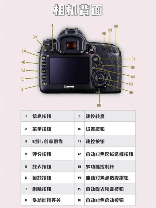 佳能5d2实时取景对焦，佳能5d2屏幕取景怎么自动对焦？-第3张图片-优品飞百科