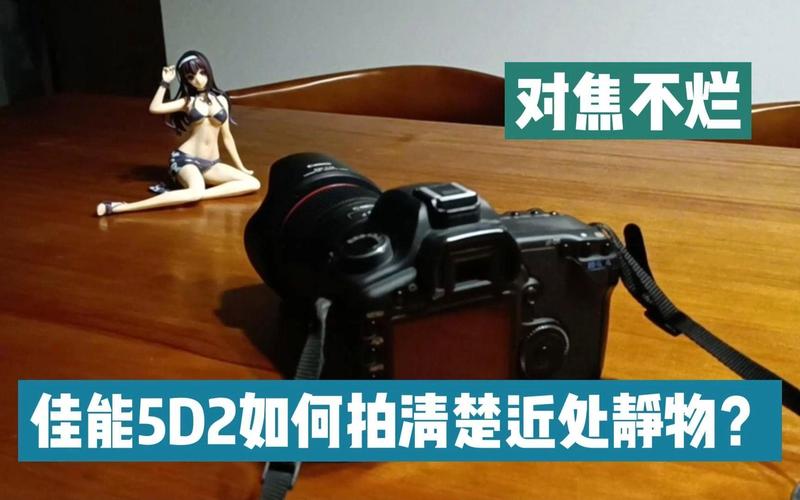 佳能5d2实时取景对焦，佳能5d2屏幕取景怎么自动对焦？-第4张图片-优品飞百科