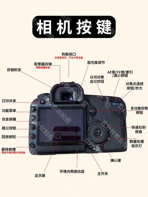 佳能5d2实时取景对焦，佳能5d2屏幕取景怎么自动对焦？-第7张图片-优品飞百科
