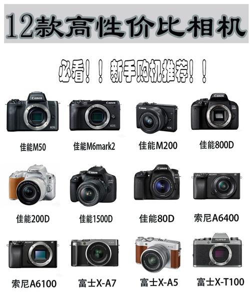 相机新手推荐？相机新手推荐 什么样的？-第7张图片-优品飞百科