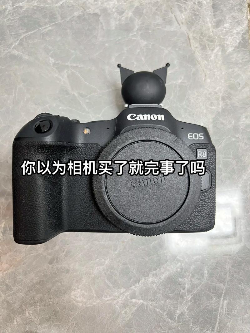 单反相机被淘汰了吗，单反会不会很快淘汰？-第4张图片-优品飞百科