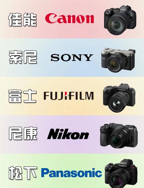 2021数码相机推荐？数码相机测评排名榜？-第2张图片-优品飞百科