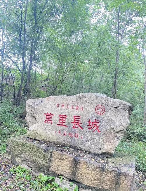 遵化疫情蛋糕，遵化哪个蛋糕店做蛋糕好吃-第1张图片-优品飞百科