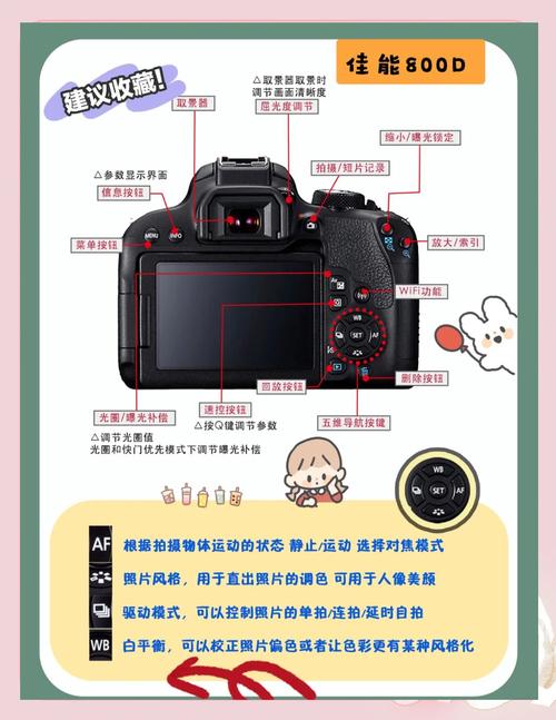 佳能相机如何查询是否正品？如何查佳能相机真伪？-第3张图片-优品飞百科