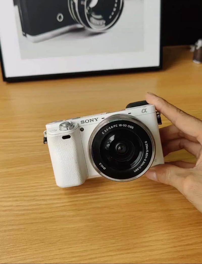 索尼a6000有自拍功能吗？索尼a6000拍摄技巧？-第4张图片-优品飞百科